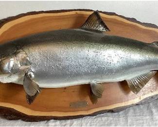 Huge Coho Salmon Taxidermy Mount 25 lb 37" Caught 7/29/87 off Rock Island, Lake Michigan