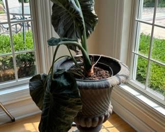 Garden Urn