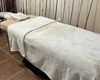 Earthlite Electric portable massage table.