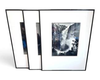 Three Large Matted Dynamic Nature Prints 38.8 X 49.8