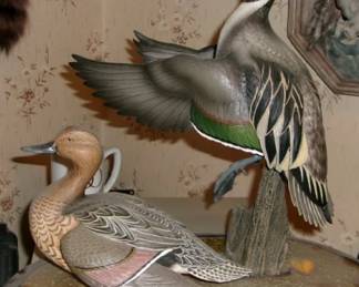 DU DUCKS ON LOON LAKE