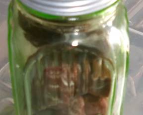 GREEN SHAKER