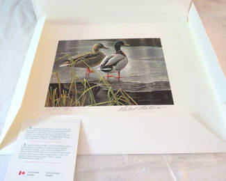 Lot 13: 1985 Ltd Ed Robert Bateman Duck Print and 1986 Stamp