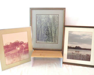 Lot 157: Trio of Framed Nature Photographs