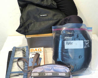 Lot 47: Travel Accessories Pillow Bungee Sportsac