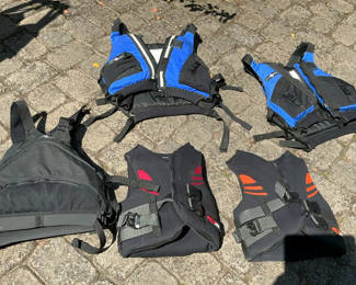 Lot 171: 5 Life Jackets