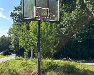 Lot 168: Lifetime Portable basketball hoop system