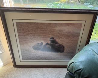Bear Framed Print