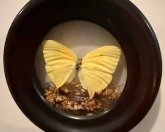 Vintage Butterfly and Dried Flower Wall Art Display