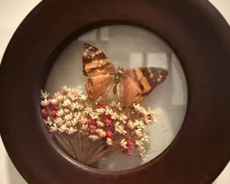 Vintage Butterfly and Dried Flower Wall Art Display