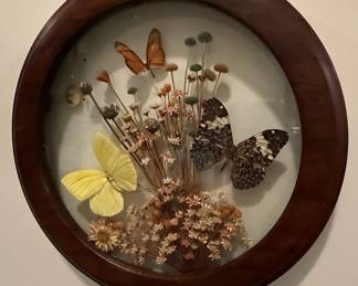 Vintage Butterfly and Dried Flower Wall Art Display