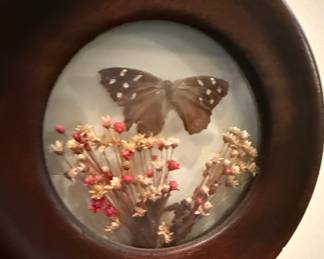 Vintage Butterfly and Dried Flower Wall Art Display