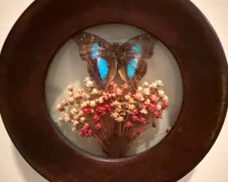 Vintage Butterfly and Dried Flower Wall Art Display