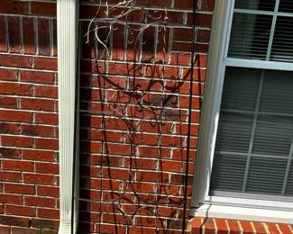 #077 Metal Wall Hanging for Plants 25x72 $40.00