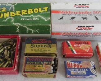 .22 Caliber Ammo