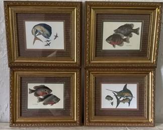 6 Fish Prints