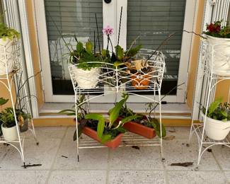 All the orchids have been sold.