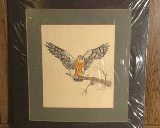 Lot #142 - Wade Rawls Original Signed Pen and Ink and Colored Pencil American Kestrel Illustration Bainbridge Studio Bristol