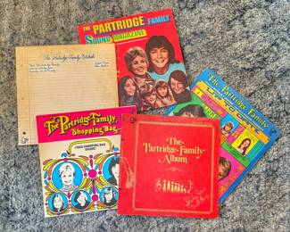 I think I love the Partridge Family!