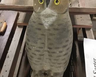 76.  Barn owl