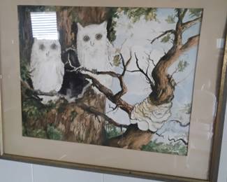 Owl picture