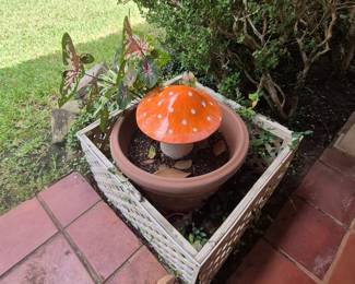 Plants, Mushroom