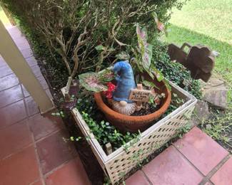 Plants, Gnome