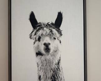 Sylvie Llama Black and White Portrait Framed Canvas Wall Art, 18x24 Gray