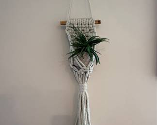 Macrame Air Plant Hanger