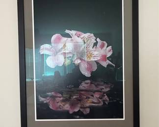 Alstroemeria Floral Photography Print