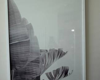 Black and White Banana Leaf Framed Print