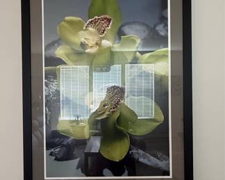 John Matthew Moore Orchid Giclee Print in Black Frame