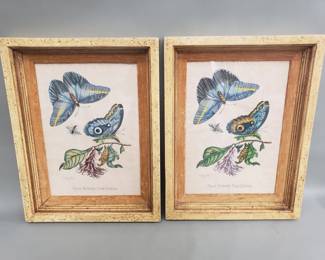 Lot 117 Pair of Maria Sibylla Merian Flos Robert Cum