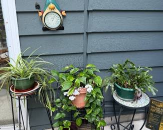 Garden Plants/Plant Stands