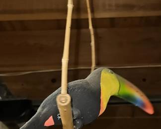 parrot