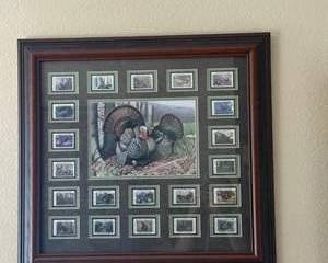 Framed Wild Turkey Commemorative Stamp Collection | Wildlife Art & U.S. Stamp Display | Hunting Lodge Wall Décor