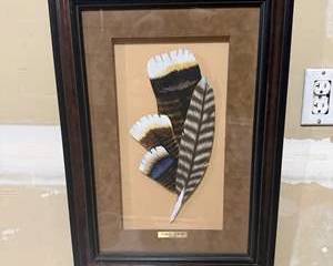 NWTF Gould's Turkey Feather Shadow Box | Framed Wild Turkey Feather Display | Numbered Wildlife Wall Art