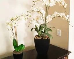 2 Faux White Orchid Arrangements in Modern Black Planters | Artificial Floral Home Décor | Elegant Centerpieces