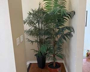 Tall Artificial Potted Palm Plants – Faux Indoor Greenery