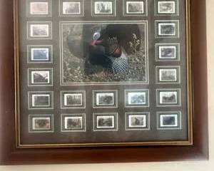 Framed Wild Turkey Stamp Collection & Wildlife Print | U.S. Commemorative Postage Display