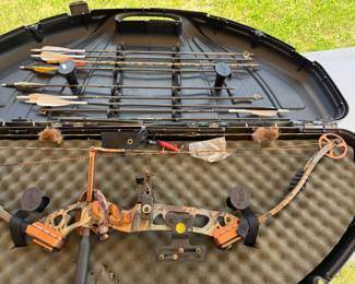 Compound Bow 