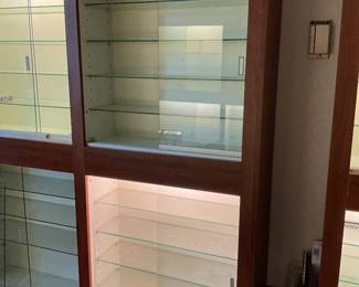 Display cases with locks 