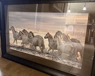 Camargue Horses in Water Framed Print by Sheila Haddad