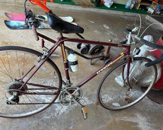 Schwinn bike