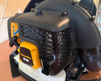 Gas powered Leaf Blower