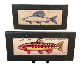 Heimsoth Fish Prints Framed Golden Trout