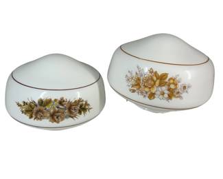 Ceiling Light Globes 1970s Transfer
