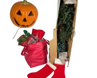 Pumpkin & Christmas