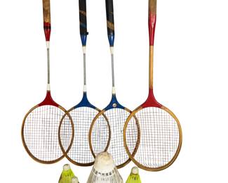 Badminton Racquets Birdies