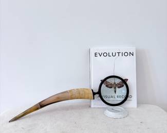 Evolution: A Visual Record - Vintage Decorative Desk Magnifying Glass with Horn Handle 